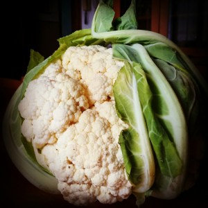 cavolfiore