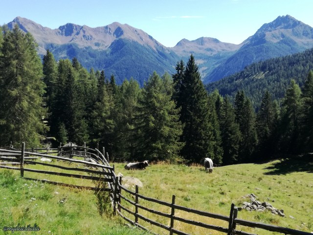 Nature_Ultental